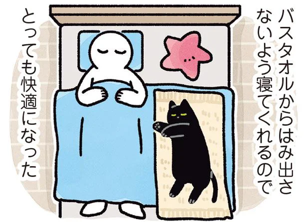 夏でも一緒に寝たい！人と猫が快適に寝るための工夫／黒猫ろんと暮らしたら4（11）