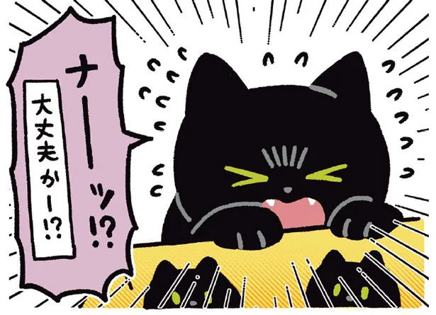 大丈夫かーー!?箱に向かって叫ぶ猫／黒猫ろんと暮らしたら4（15）