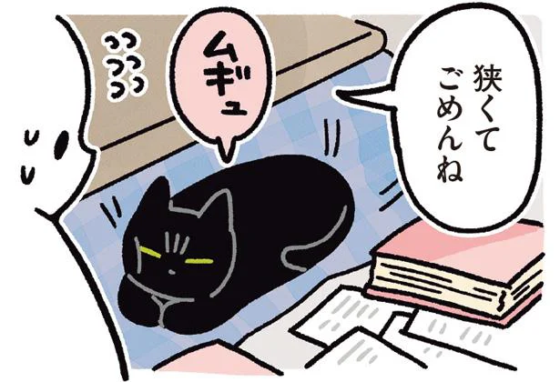狭いところにちんまり。飼い主を邪魔しないお利口さん／黒猫ろんと暮らしたら4（17）