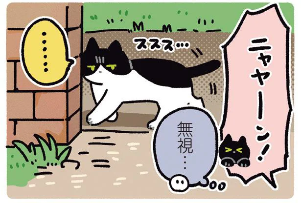 会話ができるのはいつ？ノラネコと友達になりたい照れ屋なうちの猫／黒猫ろんと暮らしたら4（18）