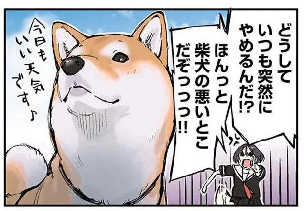 どうしていつも突然やめるんだ!?