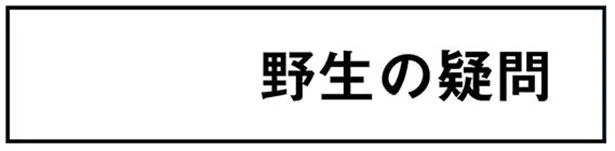 野生の疑問