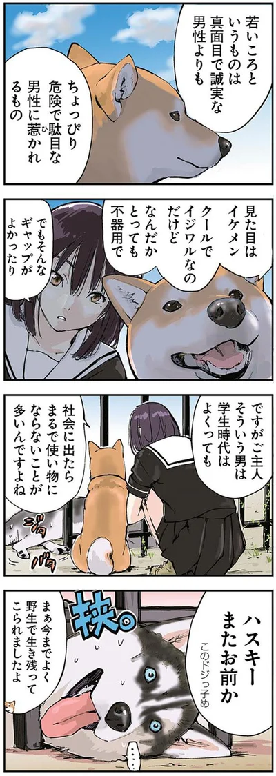 ハスキーまたお前か