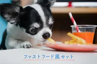 【SNSのアイドル！チワワのあお＆ものが食べる♪】簡単＆ヘルシーな犬おやつ「ファストフード風セット」