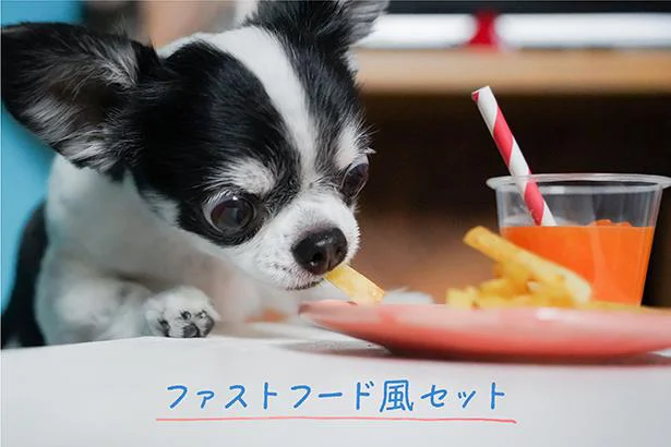 チワワのあお＆ものが食べてみた♪ヘルシーな手作り犬おやつ「ファストフード風セット」