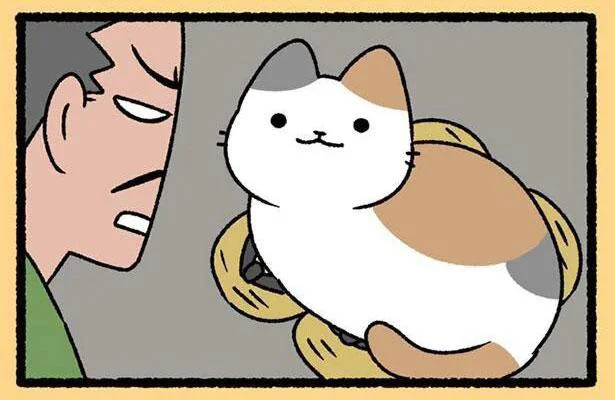 「草履を持てェ！」出かけようとした信長の気が変わった意外な理由／ねこむかしばなし（8）