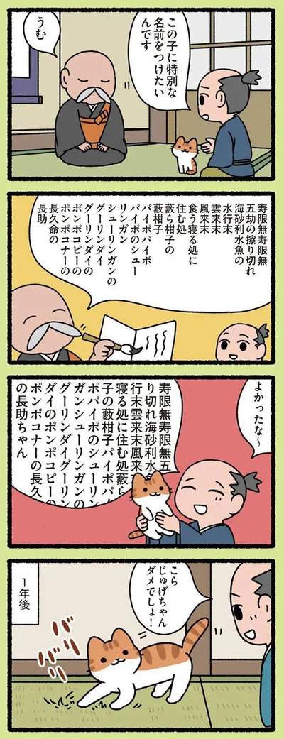 こら　じゅげちゃんダメでしょ！
