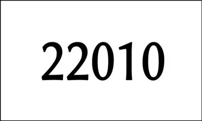 22010