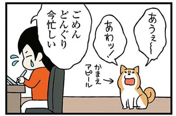 ごめんどんぐり今忙しい