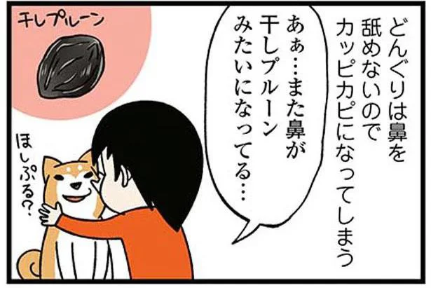 また鼻が干しプルーンみたいになってる…