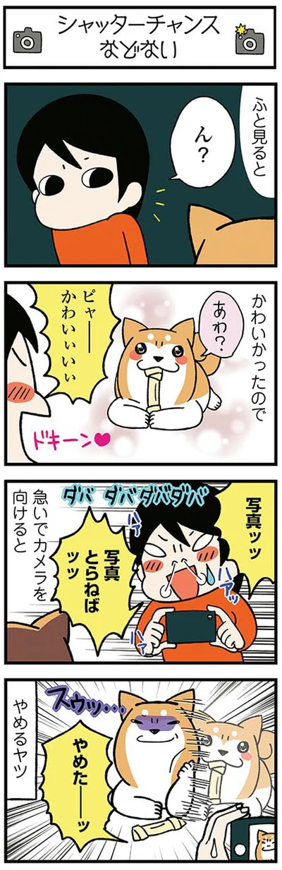 やめるヤツ