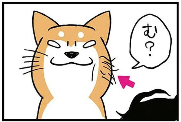 む?