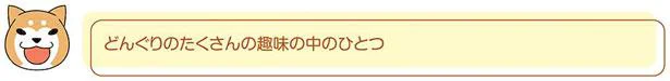 どんぐりの趣味の中のひとつ