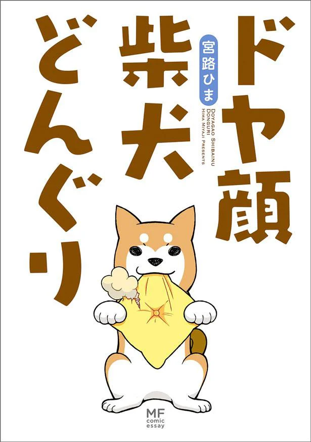 『ドヤ顔柴犬どんぐり』