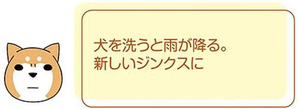 犬を洗うと雨が降る