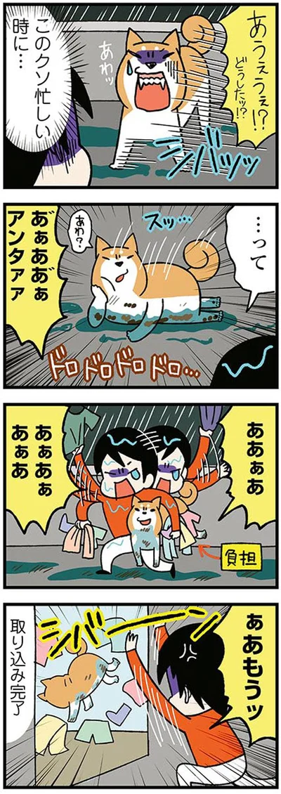 取り込み完了