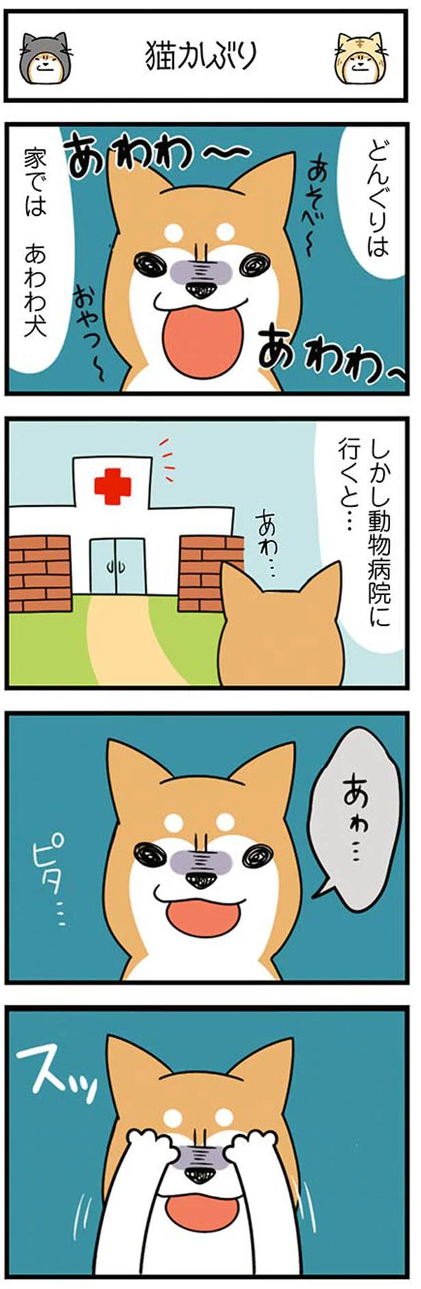 家ではあわわ犬
