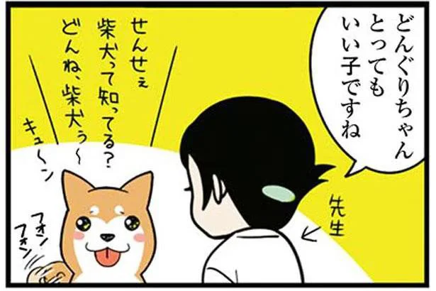 どんぐりちゃんとってもいい子ですね