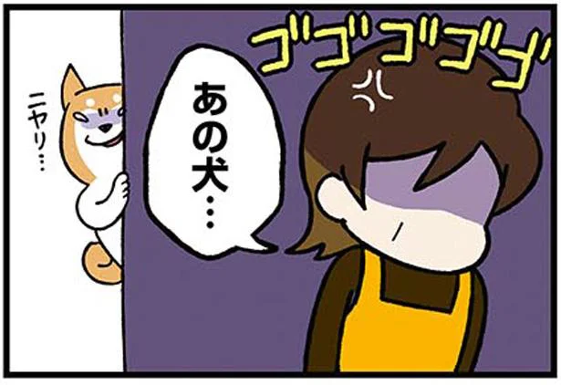 あの犬…
