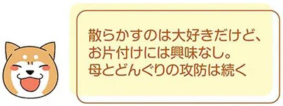 母とどんぐりの攻防は続く