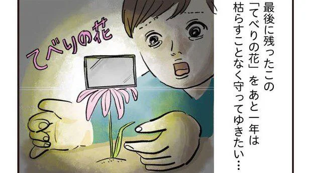 「てべりの花」