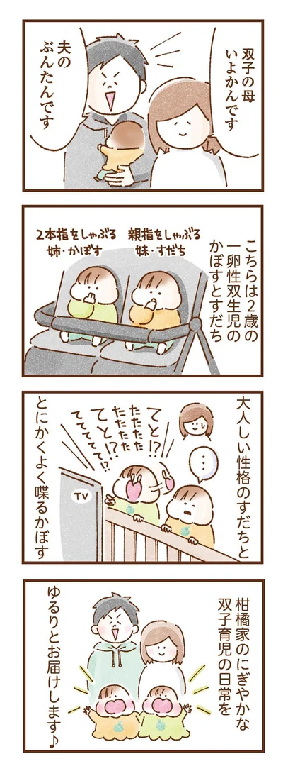 双子育児のにぎやかな日常