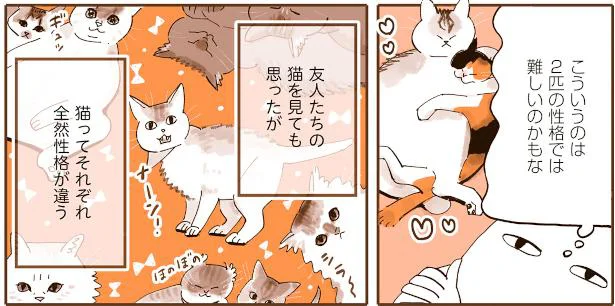 猫ってそれぞれ全然性格が違う