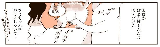 全然動いてくれない～！ ぽっちゃり猫のダイエット開始 ／うちの猫は仲が悪い（4）