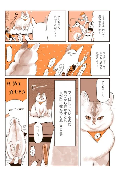 フミは知っているのだ