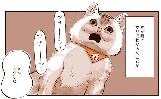 うちの猫は仲が悪い - レタスクラブ