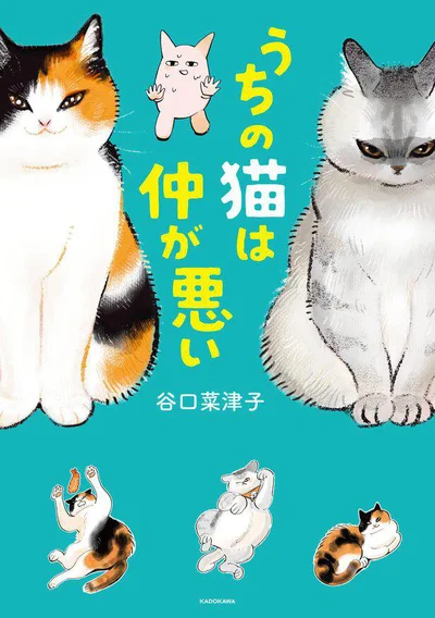 うちの猫たちはとっても仲が悪い！だがそれも含めて全てがかわいい!!『うちの猫は仲が悪い』