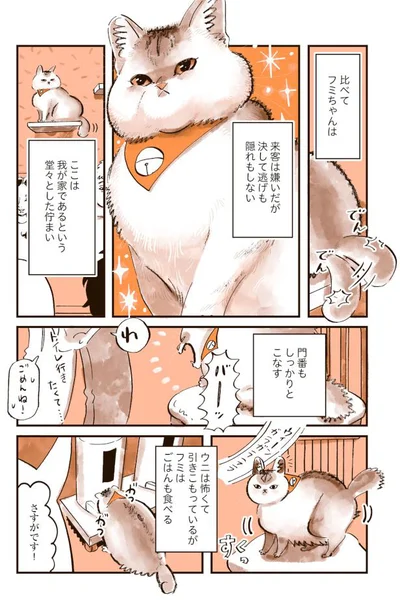 比べてフミちゃんは