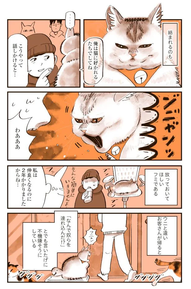 子猫のときは大丈夫だったのに、成長したら人見知りになった猫／うちの