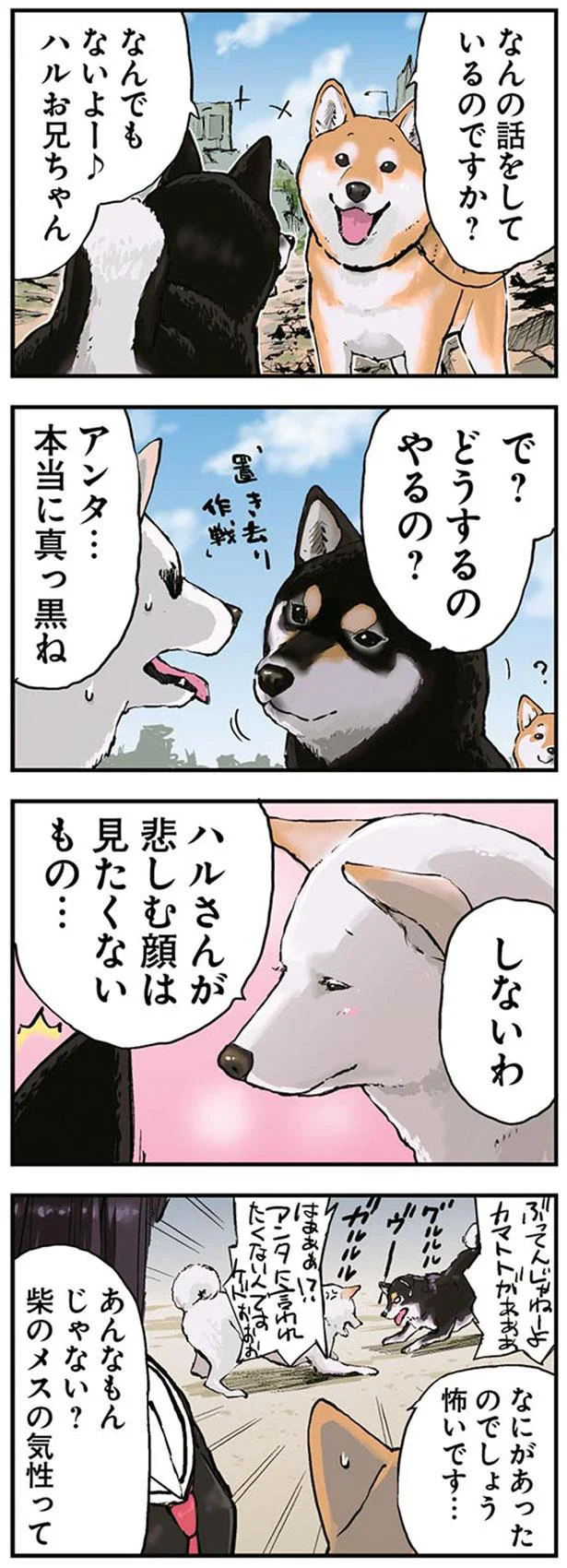 で？どうするのやるの？