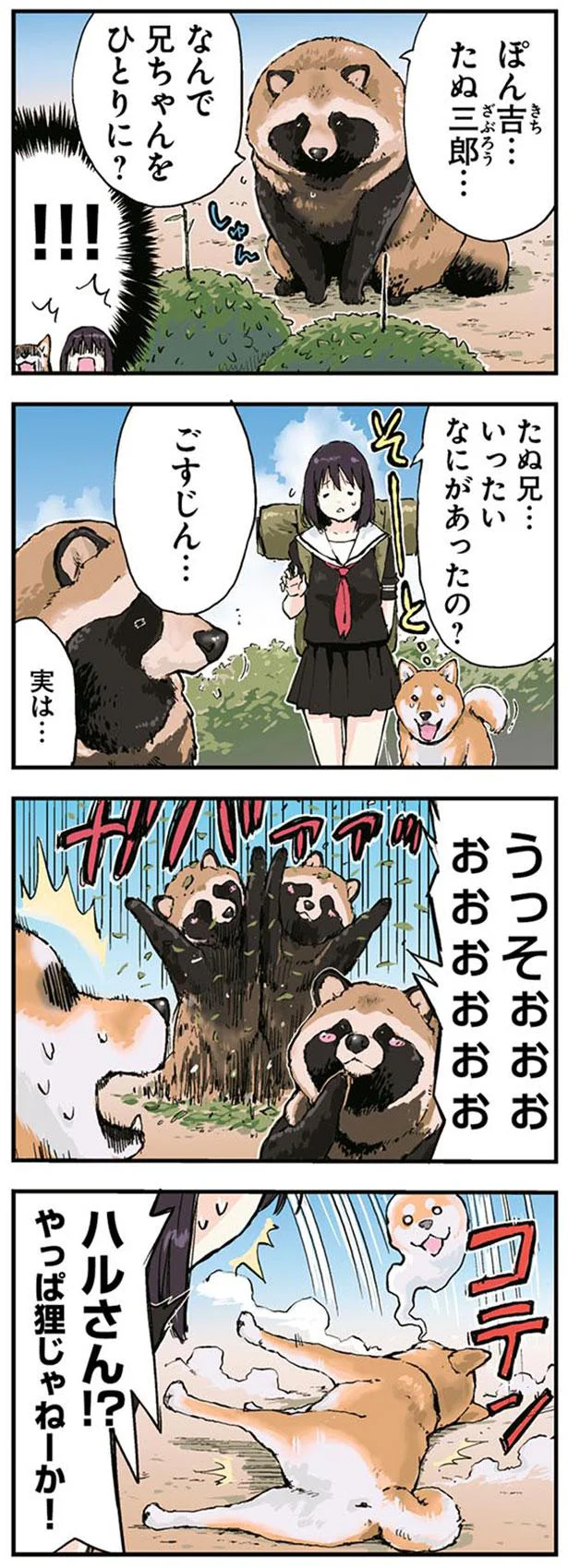 やっぱ狸じゃねーか！