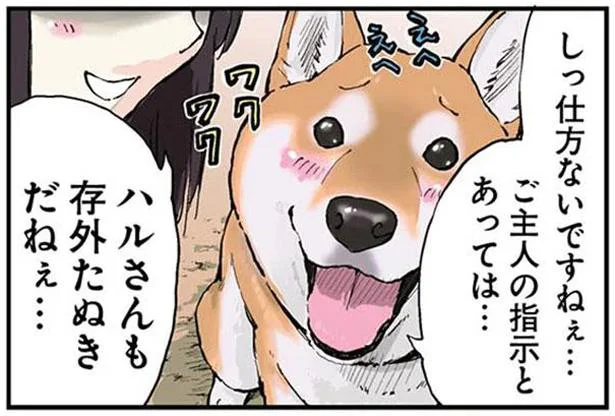 ハルさんも存外たぬきだねぇ〜