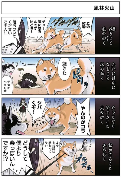 風林火山