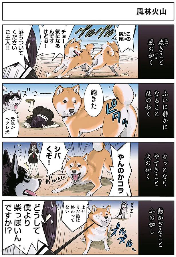 風林火山