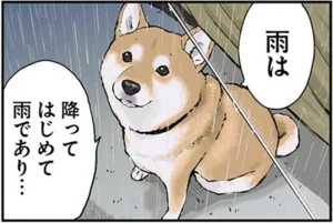 世界の終わりに柴犬と2 レタスクラブ 世界の終わりに柴犬と2 レタスクラブ