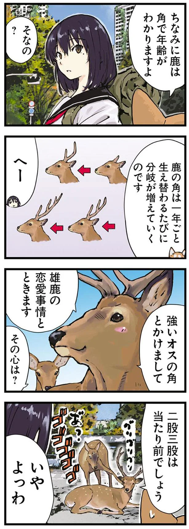 いやよっわ