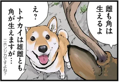  角は生えるよ