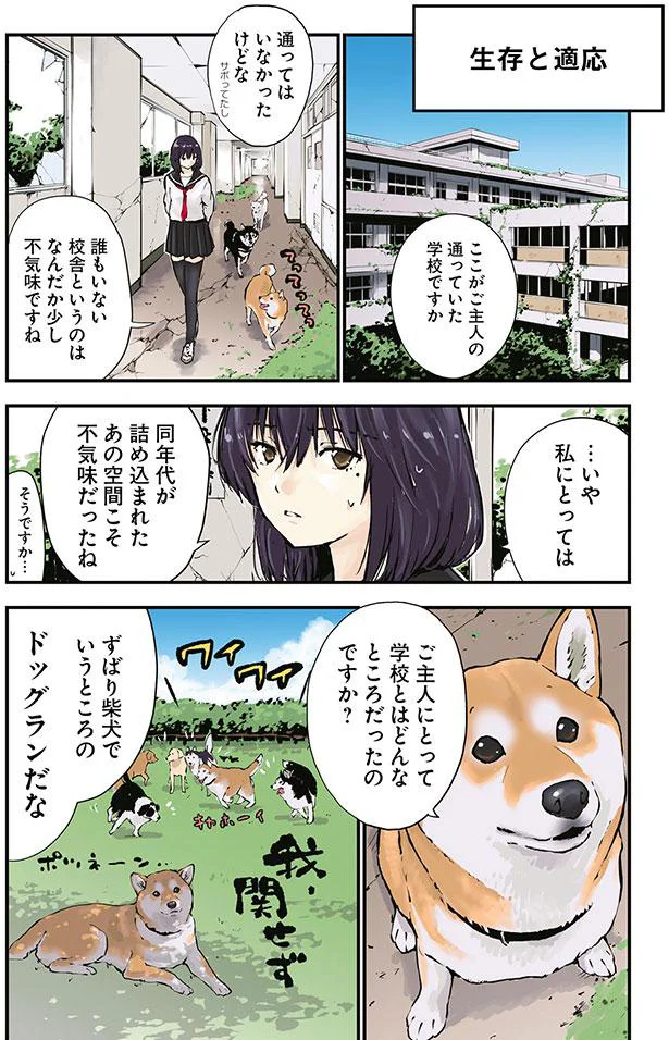 ずばり柴犬でいうところのドッグランだな