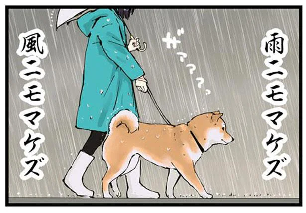 雨ニモマケズ 風ニモマケズ