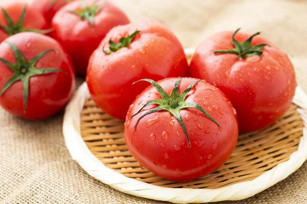 ホエー漬けにおすすめの野菜「トマト」