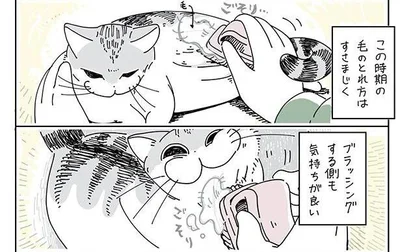 すさまじくとれる毛