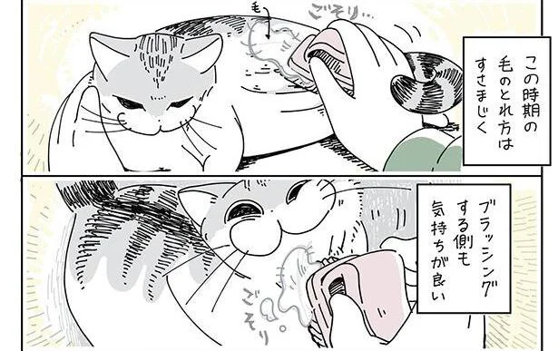 すさまじくとれる毛