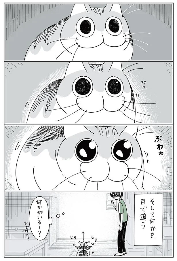 そして何かを目で追う