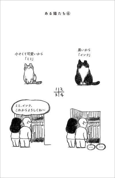 ２匹の野良猫インクとミミを保護することに