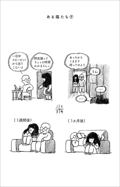 でも、2匹はなかなかなつきません