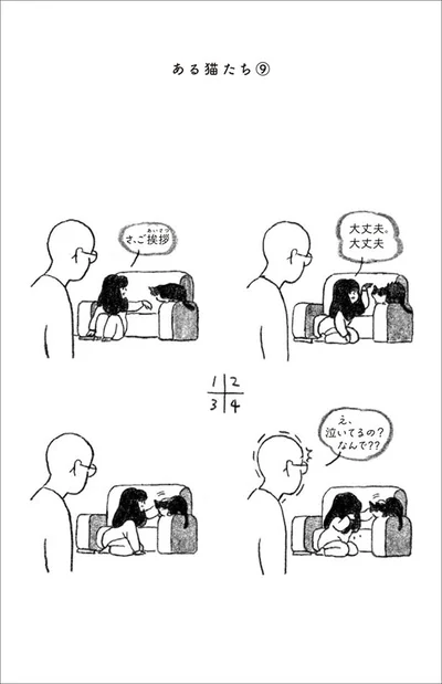 ある猫たち